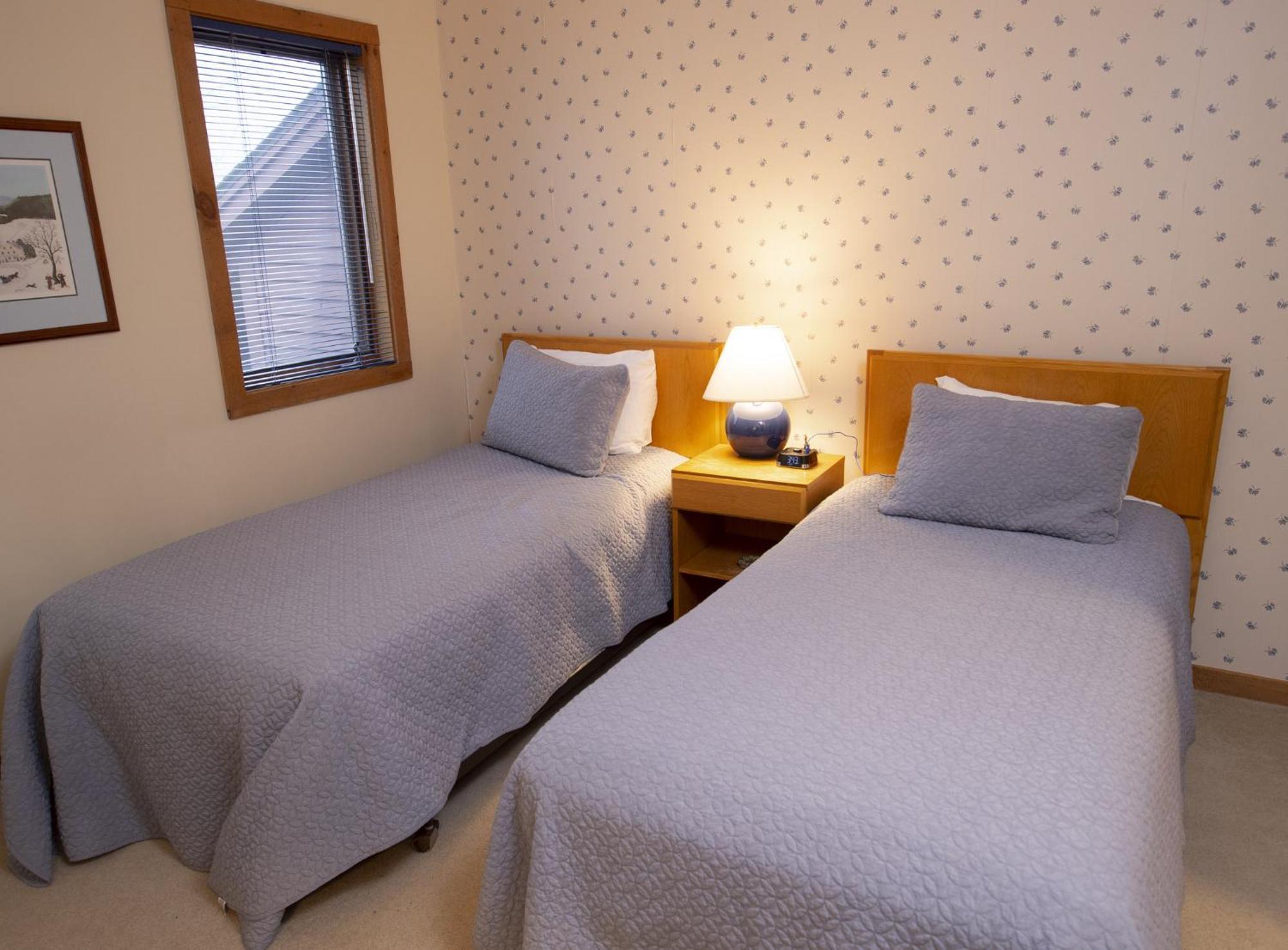 Okemo Mountain Lodging Ludlow Exterior foto
